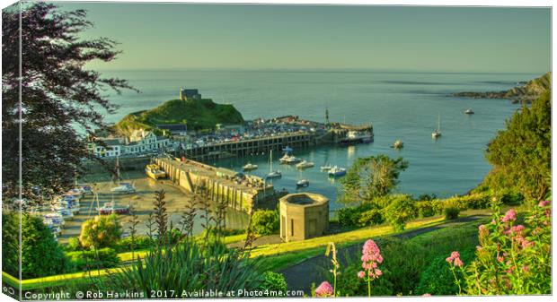 Ilfracombe Harbour Summer  Canvas Print by Rob Hawkins