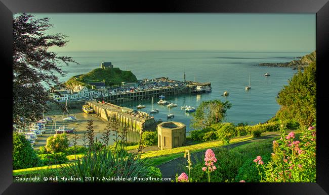Ilfracombe Harbour Summer  Framed Print by Rob Hawkins