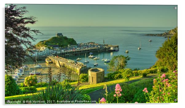 Ilfracombe Harbour Summer  Acrylic by Rob Hawkins