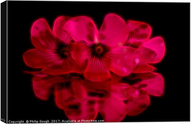 Red Reflections Canvas Print by Philip Gough