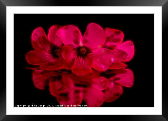 Red Reflections Framed Mounted Print by Philip Gough