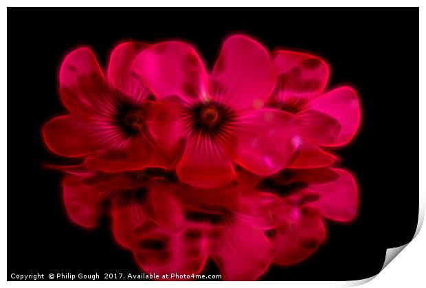 Red Reflections Print by Philip Gough