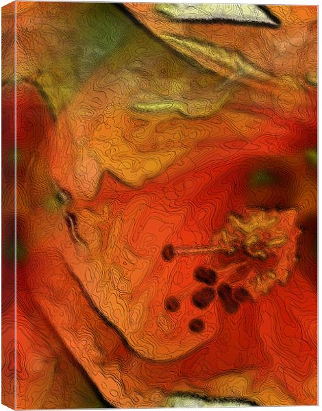 orange flower Canvas Print by Heather Newton