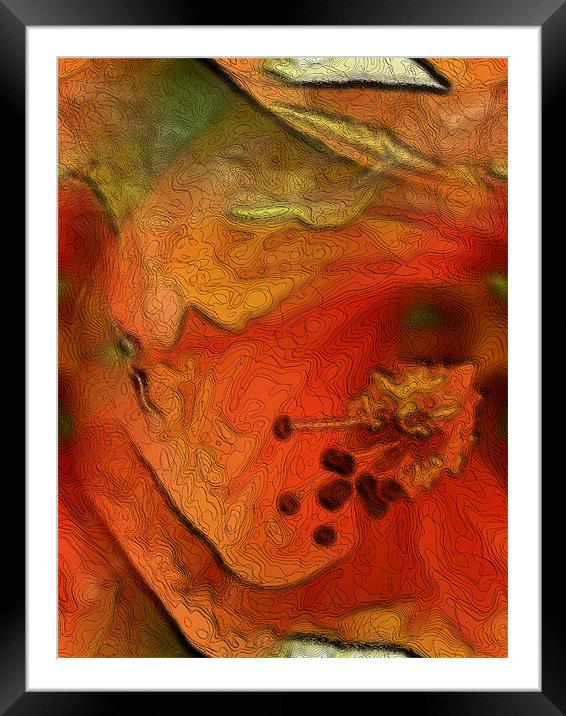 orange flower Framed Mounted Print by Heather Newton