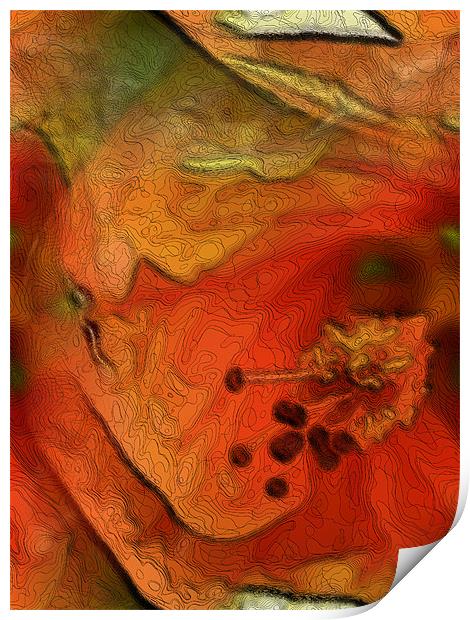 orange flower Print by Heather Newton
