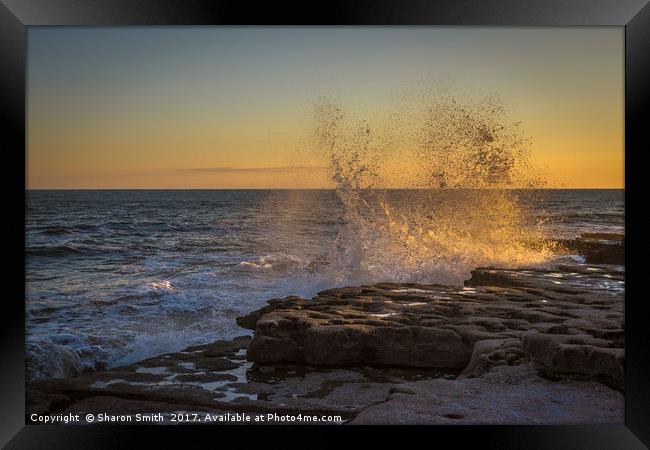 Sunset Wave Framed Print by Sharon Smith