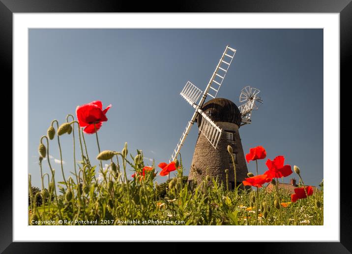 Windmill and Poppies Framed Mounted Print by Ray Pritchard
