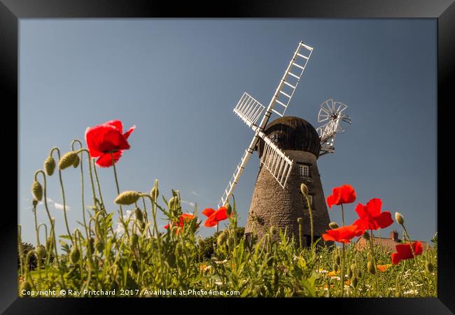 Windmill and Poppies Framed Print by Ray Pritchard