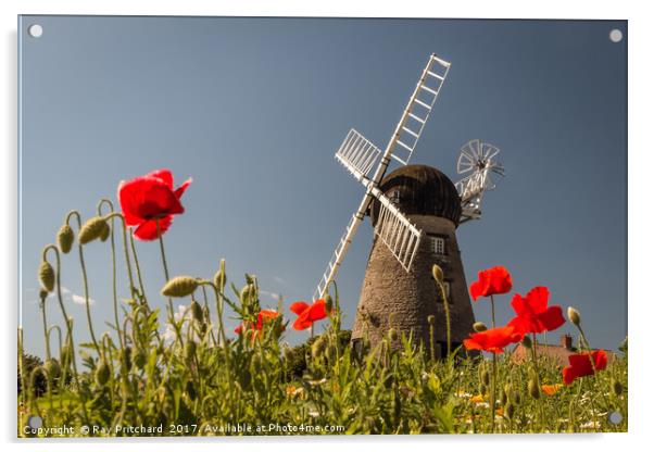 Windmill and Poppies Acrylic by Ray Pritchard