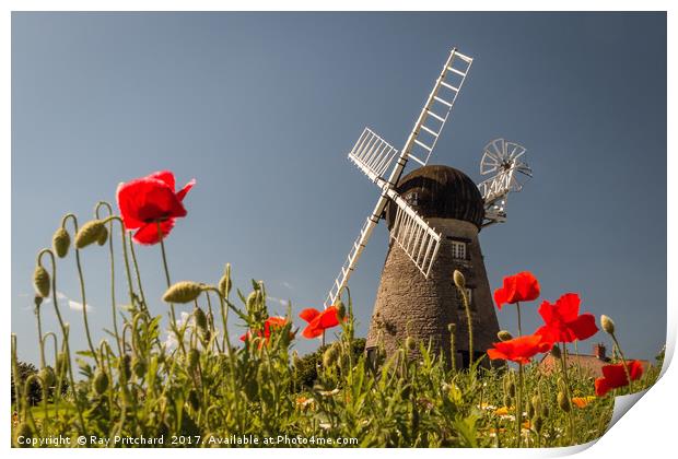 Windmill and Poppies Print by Ray Pritchard