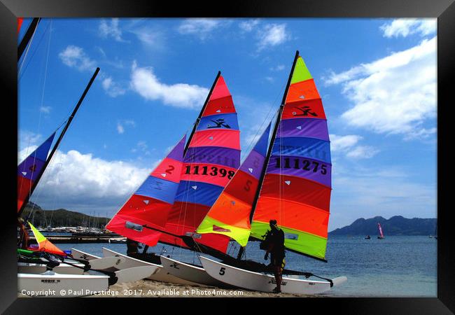     Sailing Dinghies at Puerto Pollensa Framed Print by Paul F Prestidge