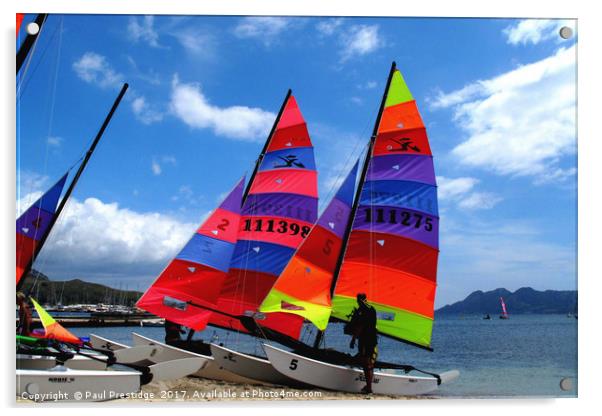     Sailing Dinghies at Puerto Pollensa Acrylic by Paul F Prestidge