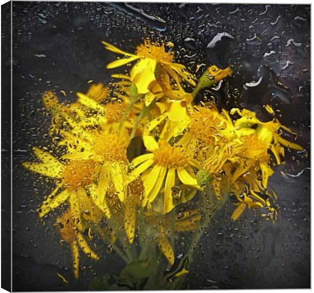 underwater flora Canvas Print by dale rys (LP)