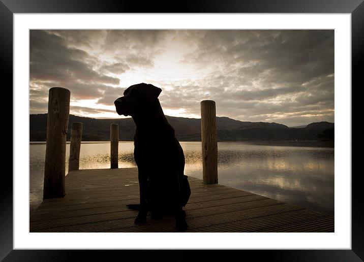 Dawn watcher Framed Mounted Print by Simon Wrigglesworth