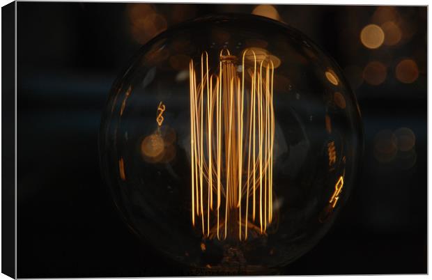 Light Bulb Canvas Print by Edward Stanford