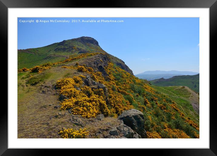 The ascent up Whinny Hill to Arthur's Seat Framed Mounted Print by Angus McComiskey