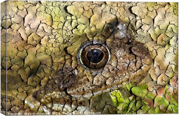Tree Frog Canvas Print by dave mcnaught