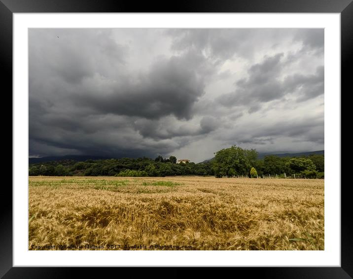 Threatening Sky Over Wheat Fields Framed Mounted Print by Fabrizio Malisan