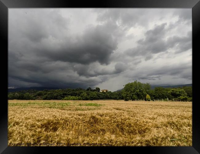 Threatening Sky Over Wheat Fields Framed Print by Fabrizio Malisan