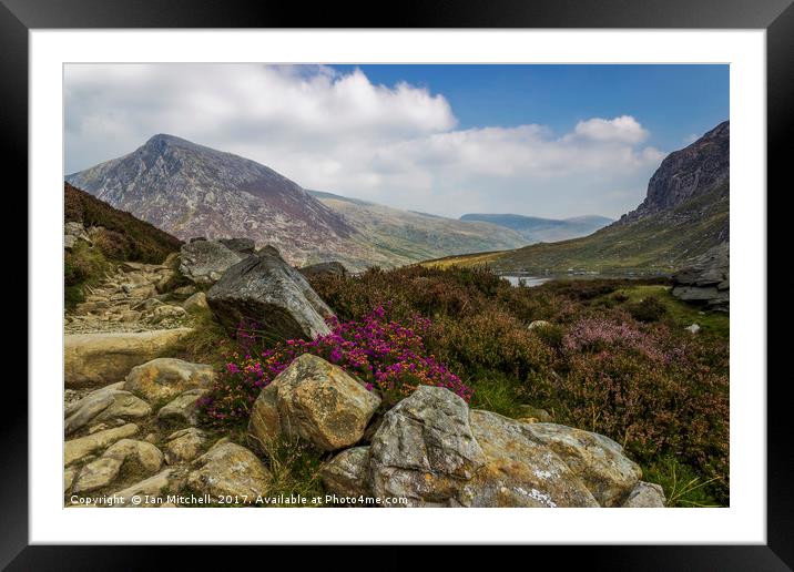 Pen yr Ole Wen  Framed Mounted Print by Ian Mitchell