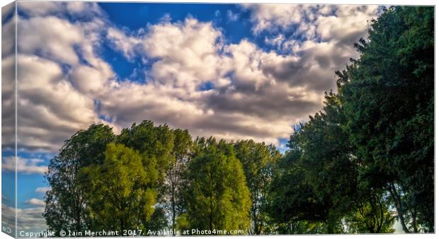 Cornering the Sky Canvas Print by Iain Merchant