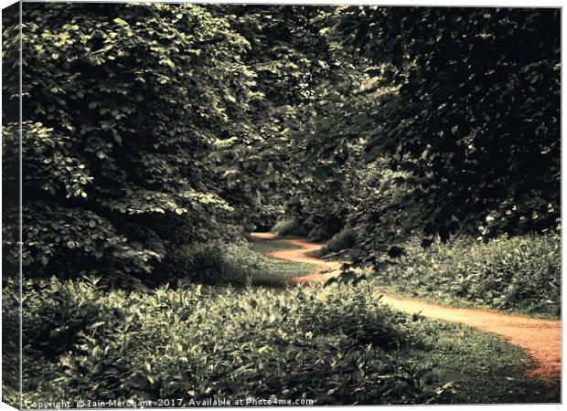 Pathway to Religion Canvas Print by Iain Merchant