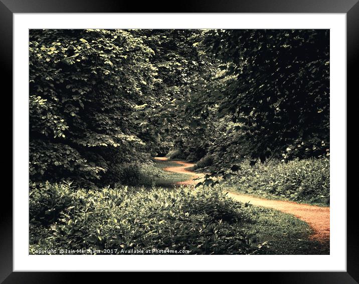 Pathway to Religion Framed Mounted Print by Iain Merchant