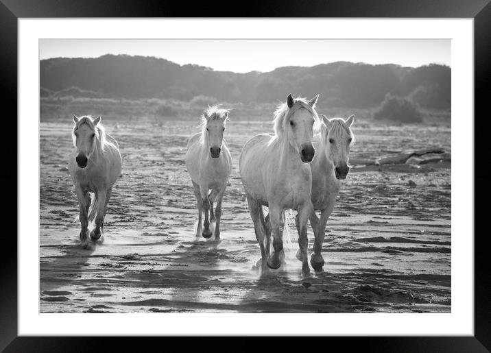 Serenity in Mono Framed Mounted Print by Janette Hill