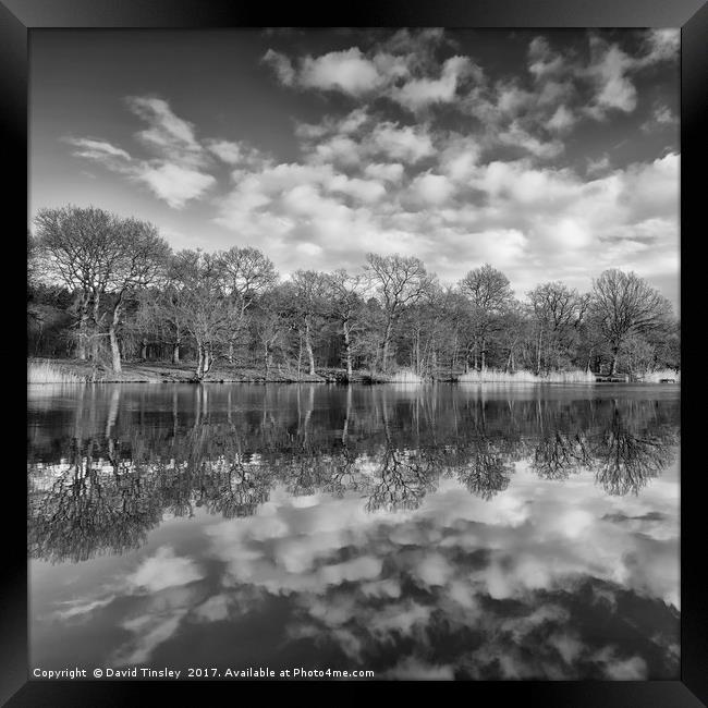 Late Winter Reflections Framed Print by David Tinsley