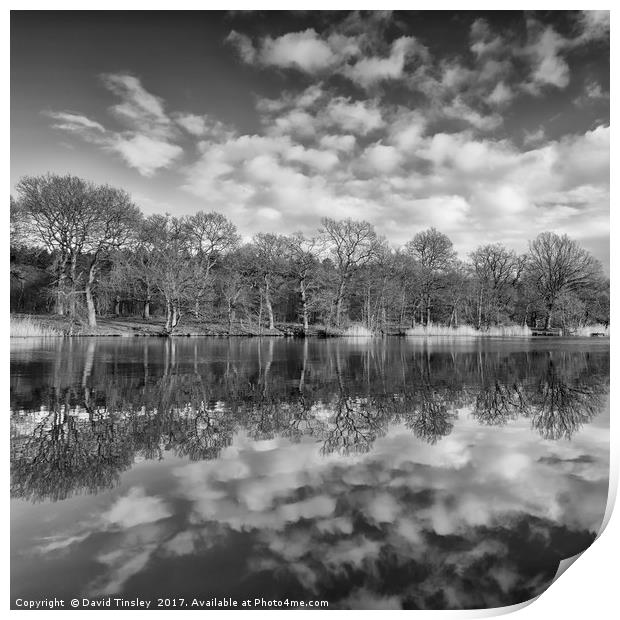Late Winter Reflections Print by David Tinsley