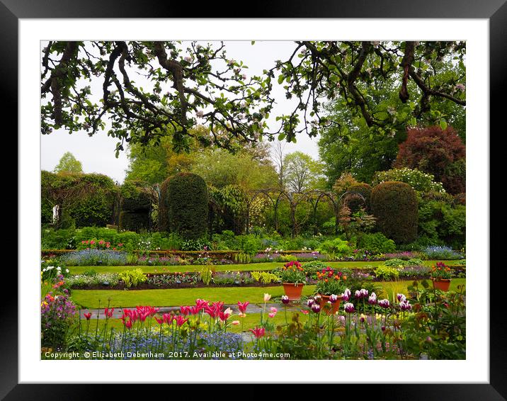 Spring layers of tulips and paths at Chenies. Framed Mounted Print by Elizabeth Debenham