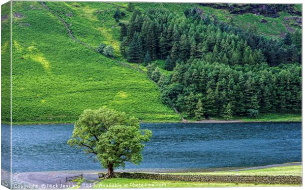 The Lonely Tree at Buttermere in the Lake District Canvas Print by Nick Jenkins
