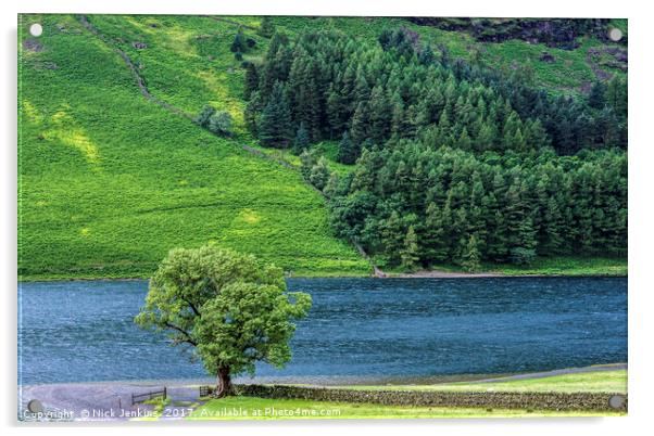 The Lonely Tree at Buttermere in the Lake District Acrylic by Nick Jenkins