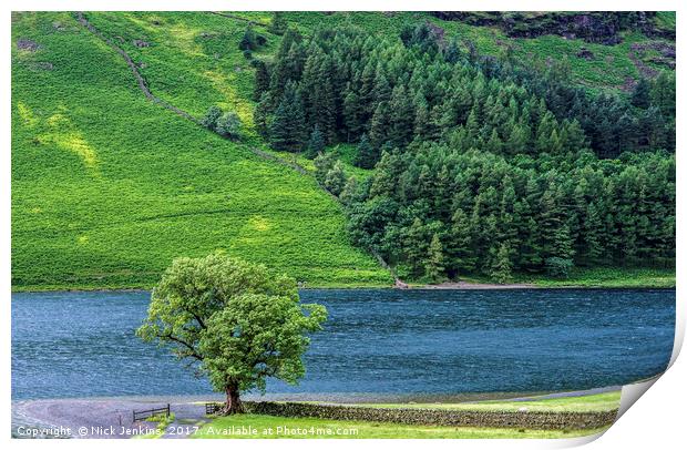 The Lonely Tree at Buttermere in the Lake District Print by Nick Jenkins
