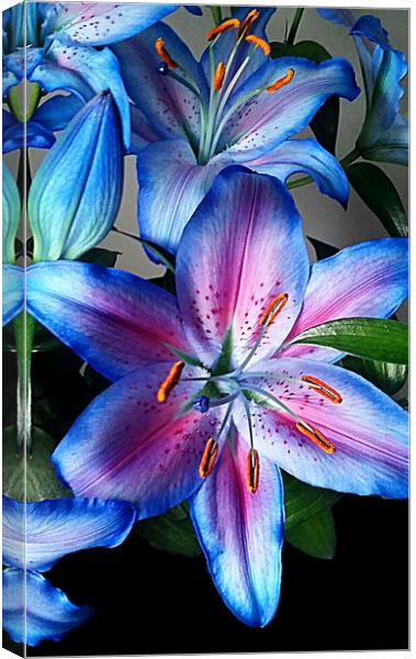 Lilies Canvas Print by Anthony Kellaway