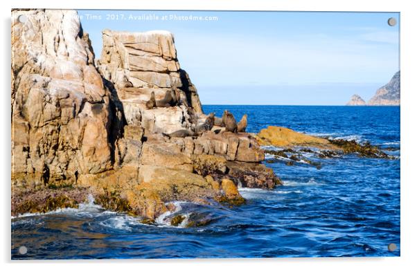 Seal Rock, Wine Glass Bay, Tasmania, Australia Acrylic by Pauline Tims
