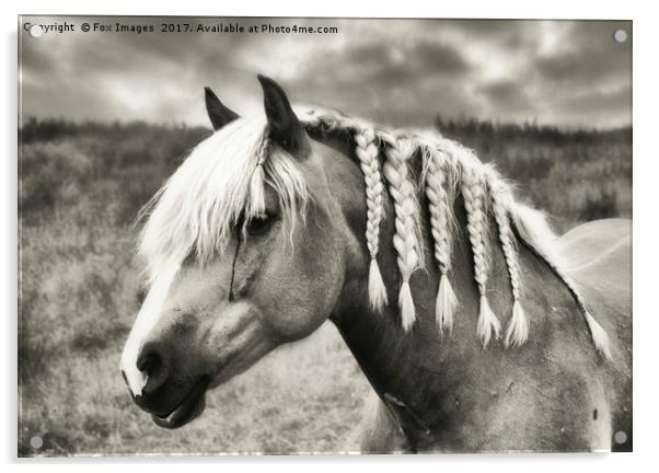 Countryside Horse Acrylic by Derrick Fox Lomax