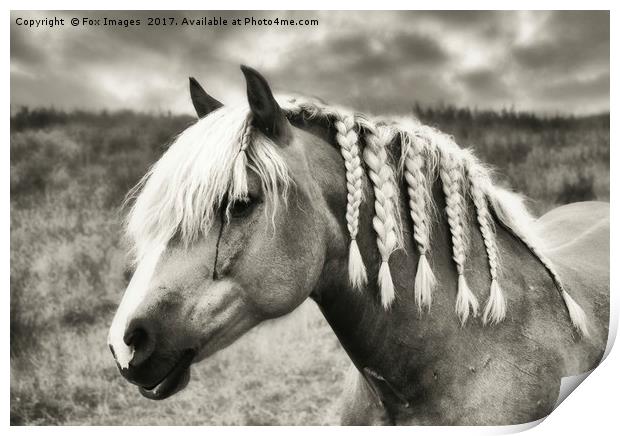 Countryside Horse Print by Derrick Fox Lomax