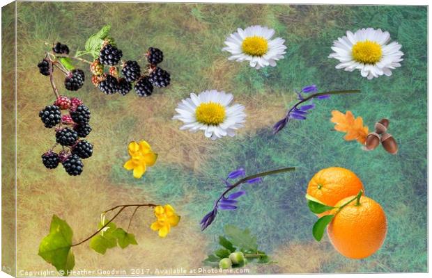 Nature's Mix. Canvas Print by Heather Goodwin
