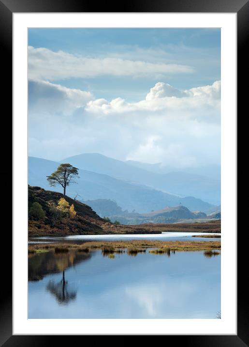 Blue Reflection Framed Mounted Print by Janette Hill