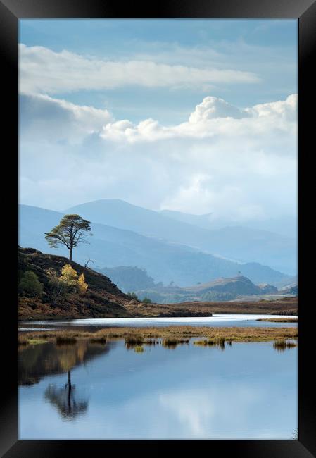 Blue Reflection Framed Print by Janette Hill
