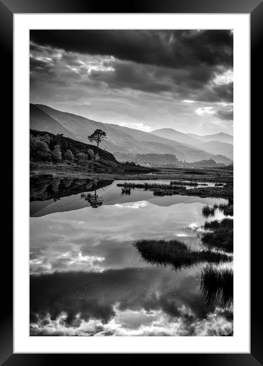 Dark Reflection, Scotland Framed Mounted Print by Janette Hill