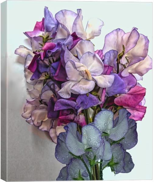 Bunch Of Sweet Peas Canvas Print by Henry Horton