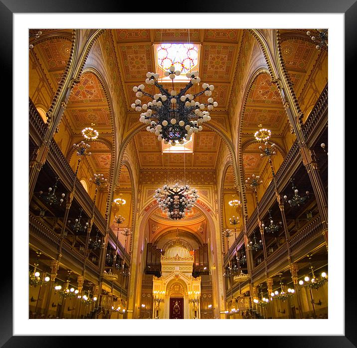 Grand Synagogue Framed Mounted Print by Mary Lane
