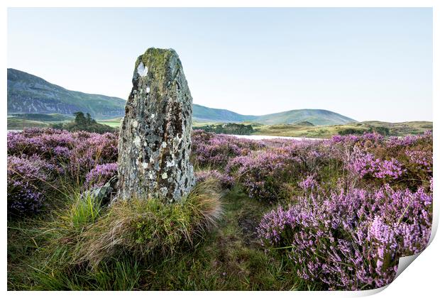  Standing Stone and Heather Print by Janette Hill