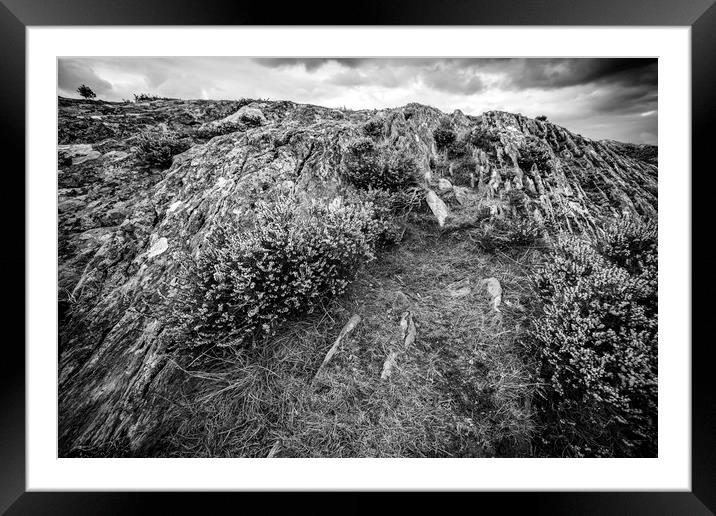 Rocks, Heather and Lone Tree in Mono  Framed Mounted Print by Janette Hill