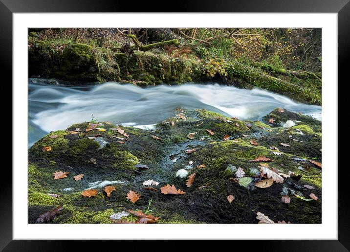 Autumn Flow Framed Mounted Print by Janette Hill