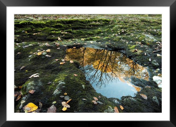 Limestone Reflection Framed Mounted Print by Janette Hill