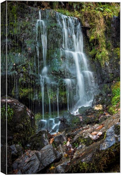 Waterfall portrait Canvas Print by Janette Hill