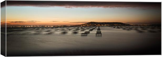 Oyster Beds at Dawn Canvas Print by Janette Hill